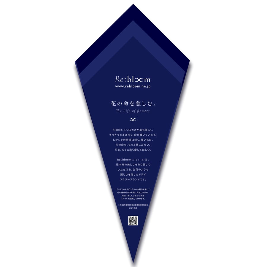 Re:bloom, brochure Pliante