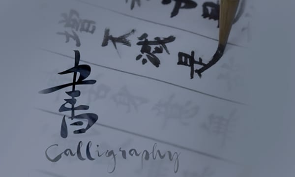 Ville de Nara, animation de titre