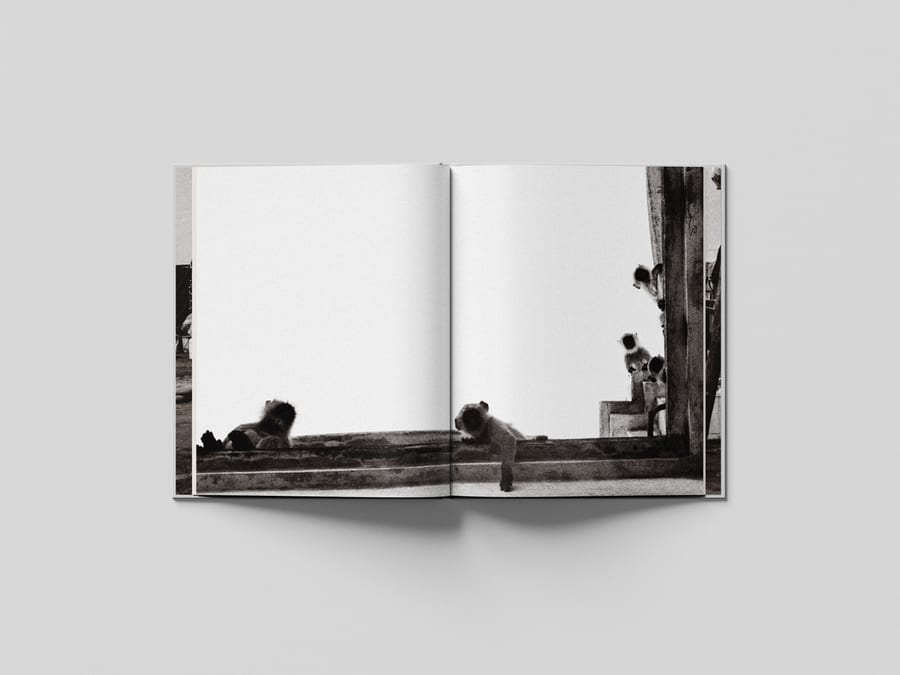 Spiral Code — Wataru Igarashi｜写真集