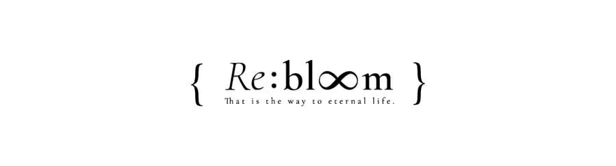 Re:bloom, fleurs séchées