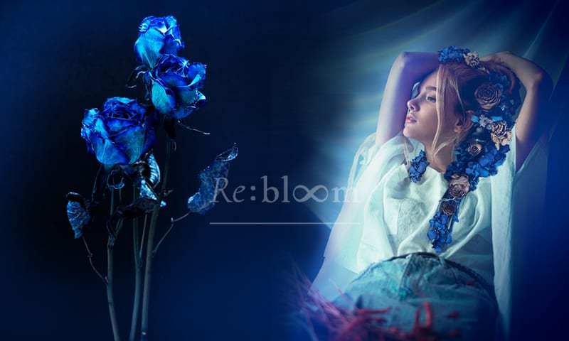 Re:bloom｜ドライフラワー